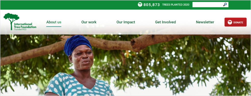 Donate button with charity logo on the International Tree Foundation's website